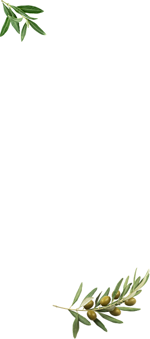 Gürsüt