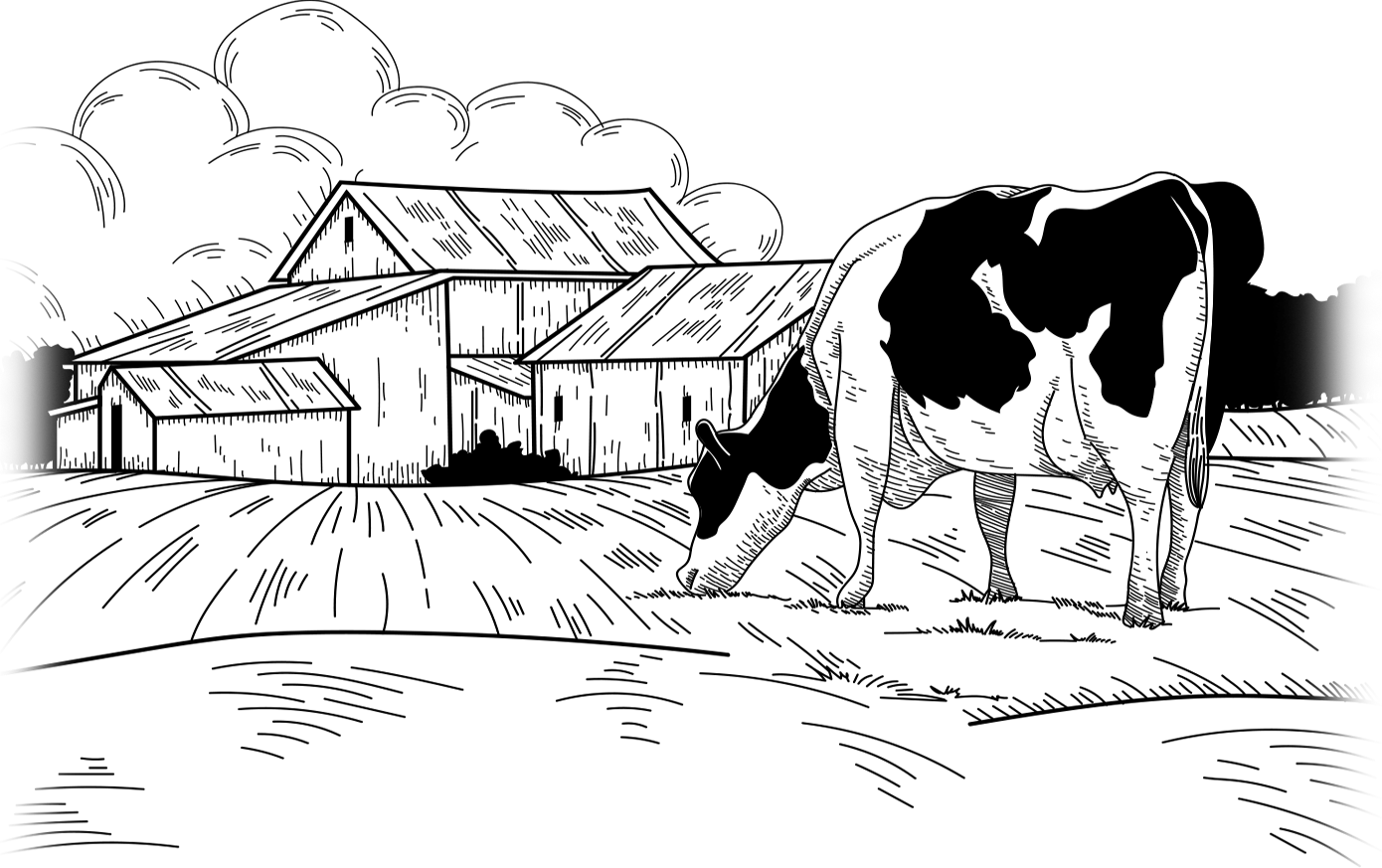 Gürsüt